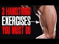 MUST DO EXERCISES! (HAMSTRINGS!)