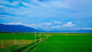 Download lagu Story WA Pemandangan Indah mp3
