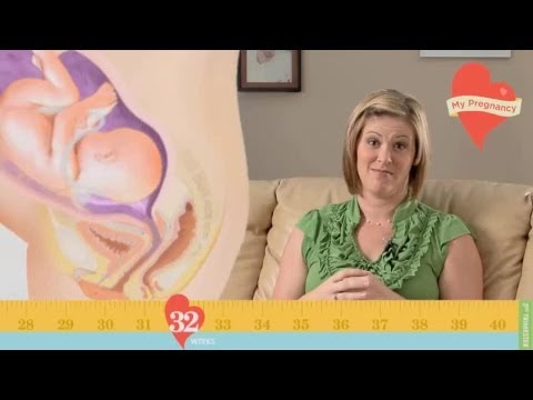 My Pregnancy - Week 32