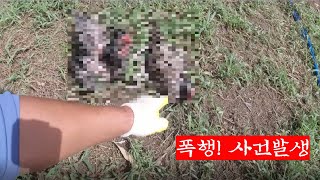 폭행! 사고발생