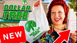 ALL NEW DOLLAR TREE FINDS LONG ONE HOUR CAR HAUL AMAZING SAVINGS & REVIEWS 