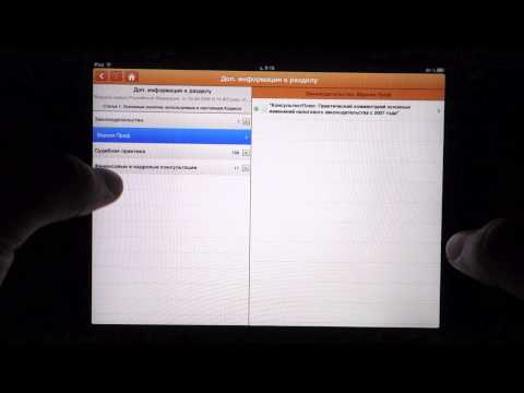 Видеообзор КонсультантПлюс