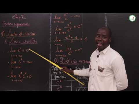 Course - Terminale L - Mathematics: Exponential Function / M. Mbow