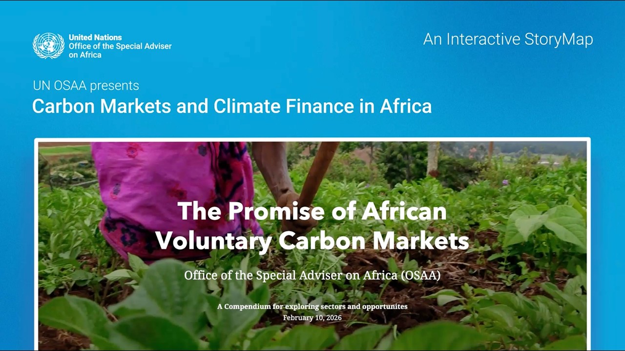 🌍 The Promise of African Voluntary Carbon Markets – A StoryMap