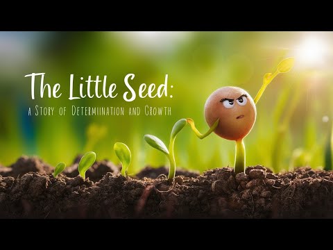 "The Little Seed: A Story of Determination and Growth" 😱🤔|motivation