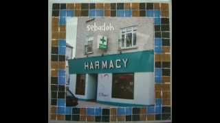 Great Bands You May Not Have Heard Of - #24 Sebadoh - Nothing Like You