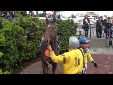 In the Winners Circle