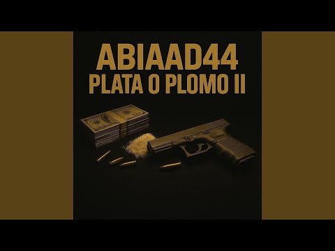 Plata O Plomo II