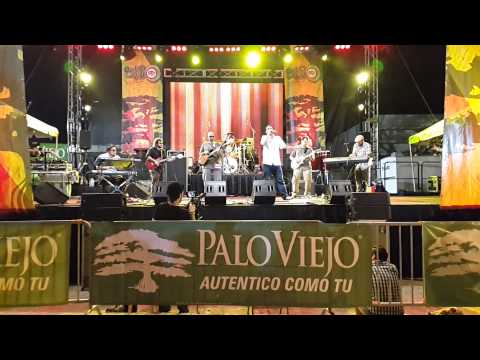 Irie Trees - Vendiendo Sueños - 2014