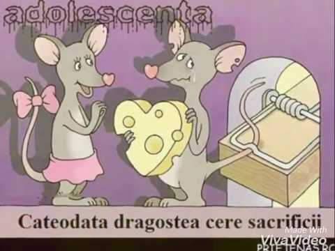 Tzontzo indianul de ce vrei sa plângem amandoi