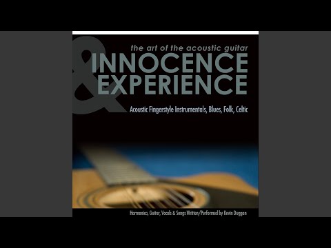 12 Hole Harmonica C Blues