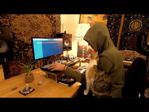 Korg Volca Live - Synthwave/Chillwave jam