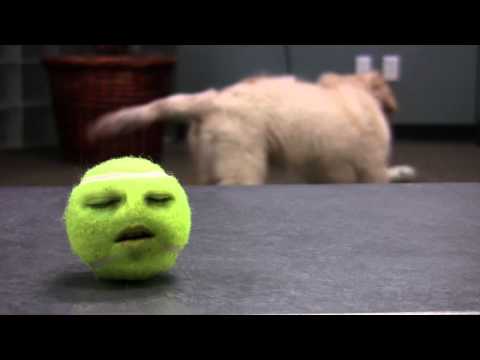 outward hound tail teaser replacement