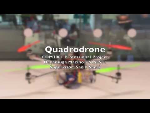 Final Year Project Presentation Video