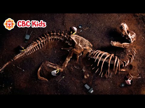 What Happened to the Dinosaurs? | CBC Kids