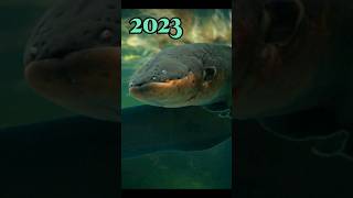 2023 Electric eel VS 5000 bce Electric eel | #viral #shortvideo | Mythical biology