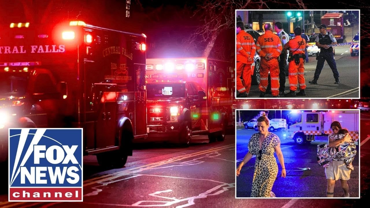 NEW: CHILLING details emerge on suspected Sydney father-son shooters