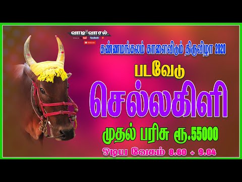 Kannamangalam Kaalaividum Thiruvizha First prize Winner Padavedu Chellakili | 15-3-2020
