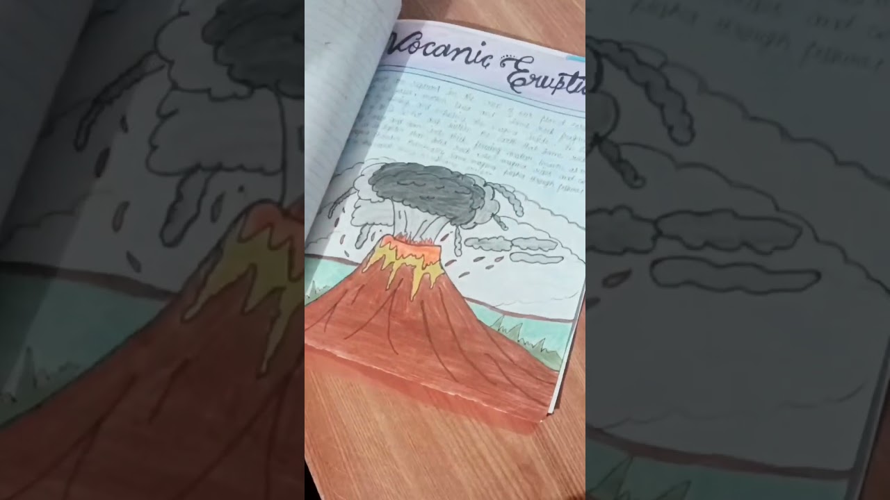 Disaster Management project| class 9th |