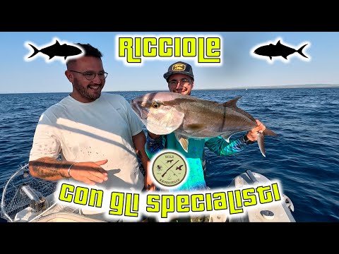 RICCIOLE con gli SPECIALISTI | PESCA a TRAINA con il TOMBARELLO VIVO | LIVE BAIT TROLLING | TROLLEAR