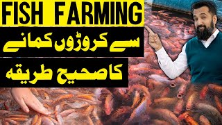 Fish Farming Business in Pakistan | Modern Method To Build A Fish Pond