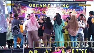 Download lagu MANUK KEPUDANG VERSI TENGDUNG // PUTRA GAYA MUDA mp3 Download lagu MANUK KEPUDANG VERSI TENGDUNG // PUTRA GAYA MUDA mp3