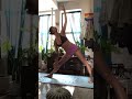Vinyasa Yoga With Eggo My Dog