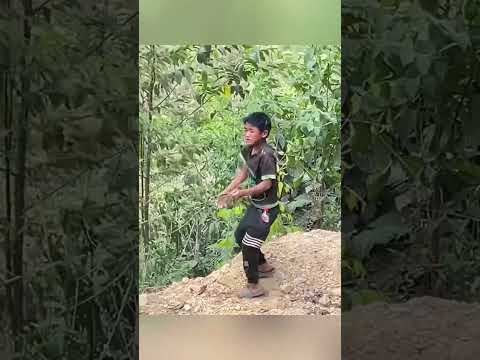 Tưởng Dắt Trâu Ai Ngờ Bị Trâu Dắt Ngược