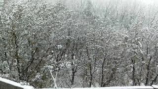 preview picture of video 'snowfall in Kashmir right now|beautiful Kashmir|Paradise|'