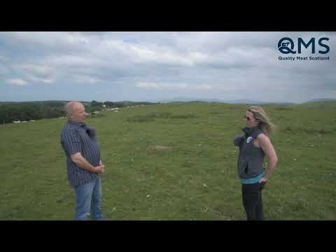 Torhousekie Farm Vet Discussion