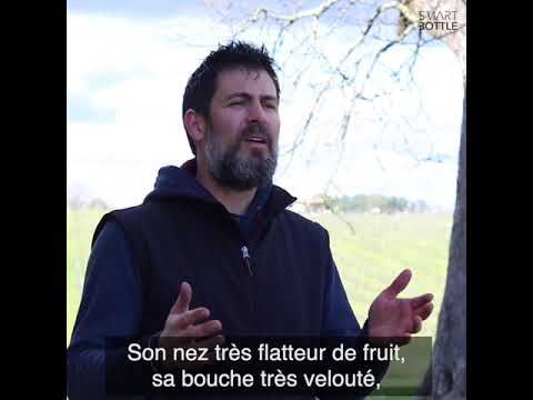 Château Labatut - Fabien Vecchiato