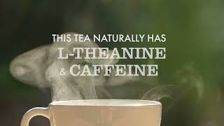 Bigelow Tea Peak Energy™ plus Extra L‑Theanine and Caffeine Black Tea (2026 Ad Campaign)