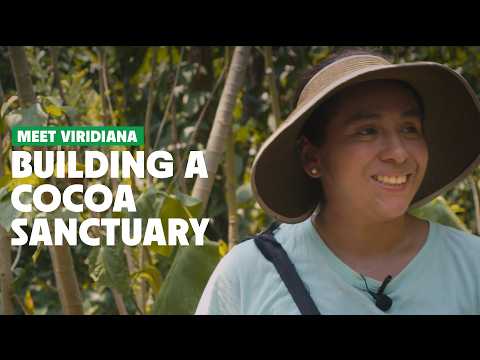 From Banker to Cocoa Farmer: Why Viridiana Made the Switch