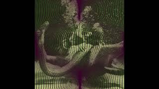Aaron Dilloway &amp; Jason Lescalleet – Burning Nest Grapes And Snakes