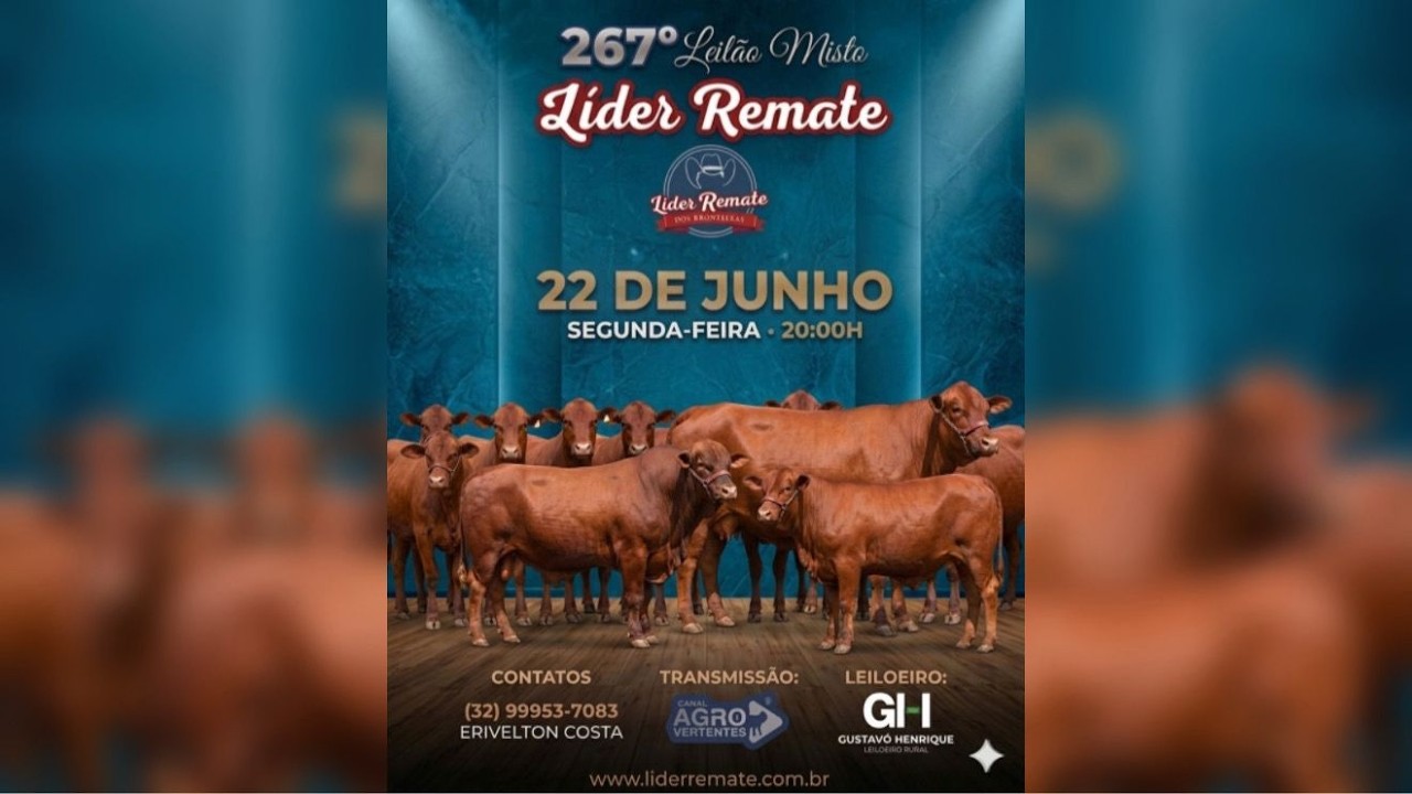 269º LEILÃO MISTO LÍDER REMATE - SÃO JOÃO DEL REI/MG - 22/06/2026