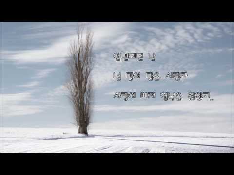 알리(ALI)  -   365일