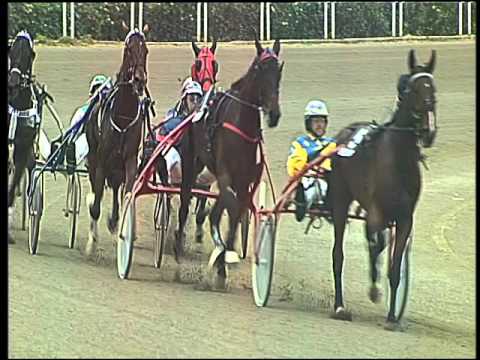 Trotto 22/04/2016 - 5° Corsa