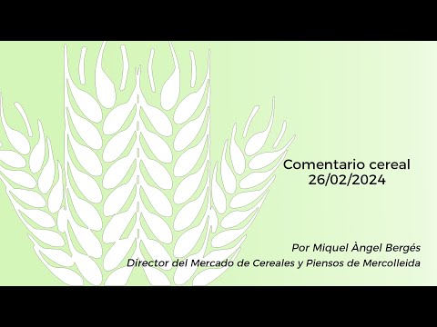 Comentario cereal - 26/02/2024