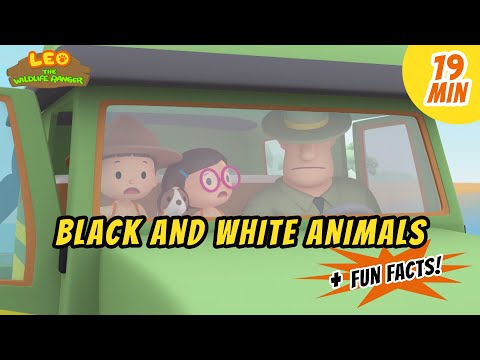 Witness21 Editor  2020 05 07