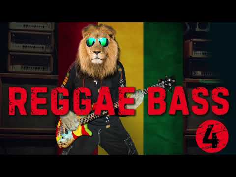 Reggae (bass) backing track - Am - Dm
