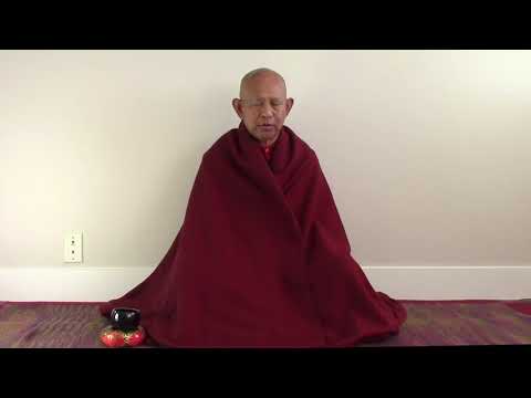 Dhamma Talk 9: Practising with Great Care and Respect