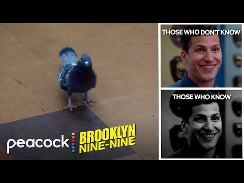 Rough Week? This Might Help | Brooklyn Nine-Nine