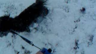 Ozzy Osborne in the Snow