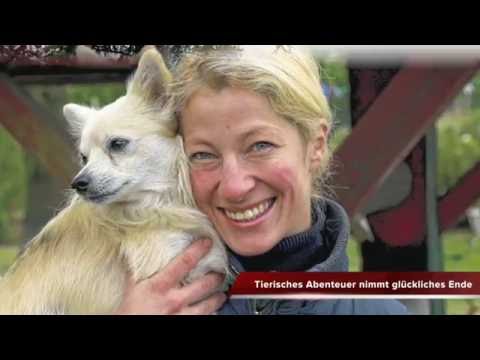 DIE HARKE 08.10.2016