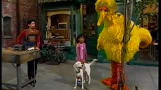 Sesame Street - Lost Dog (Part 1)