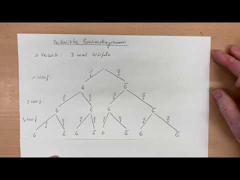 Mathe 8. Klasse, verkürzte Baumdiagramme