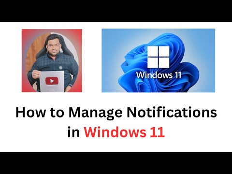 How to Manage Notifications in Windows 11