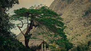 Exploring Hawaii | Sirui Vision Prime 75mm T1.4