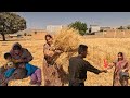 Starting From Zero A Rural Mother S Struggle For Independence