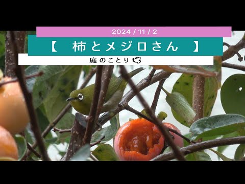 なぜ庭に硫黄を使うのですか？欠かせない4つの美徳  庭園